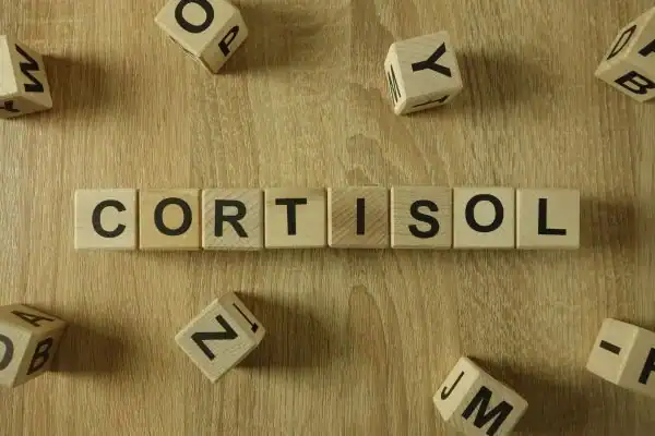 The Hidden Connection: How Stress Shapes Your Fitness and Body Composition 2 Image saying "Cortisol" and how stress England impacts your wellbeing and bodies shape